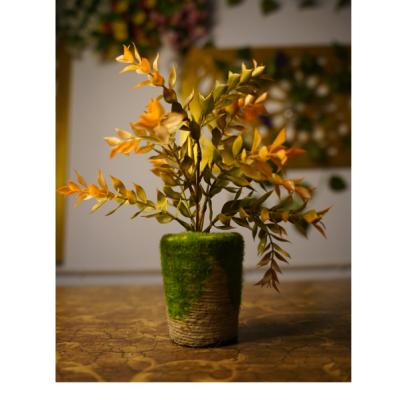 Full Rosi Top Flower