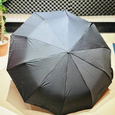 Premium 10-Ribs Automatic Folding Umbrella With Hanger Handle